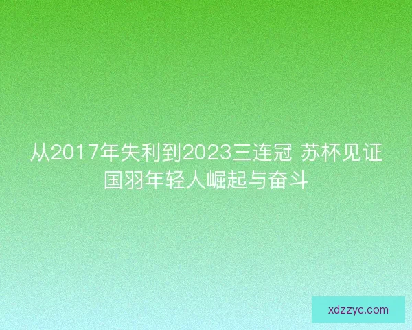 从2017年失利到2023三连冠 苏杯见证国羽年轻人崛起与奋斗