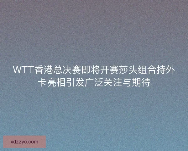 WTT香港总决赛即将开赛莎头组合持外卡亮相引发广泛关注与期待